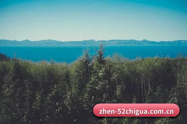 饭圈大扩张