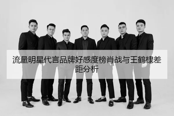 liu-liang-ming-xing-dai-yan-pin-pai-hao-gan-du-bang-xiao-zhan-yu-wang-he-di-cha-ju-fen-xi-2-273.jpg